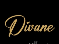 Divane Ajans - Escort Agency in Istanbul / Turkey - 1